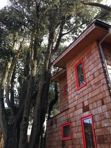 Lodge Almabosque Caba�as