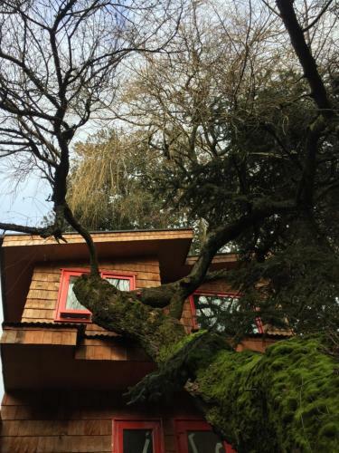 Lodge Almabosque Caba�as