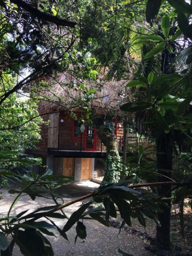 Lodge Almabosque Caba�as