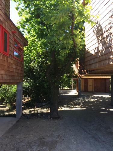 Lodge Almabosque Caba�as