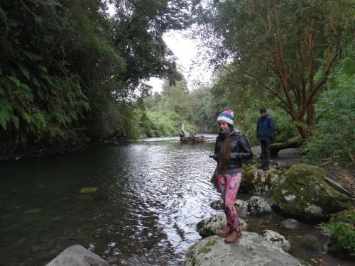 Posada Caba�as Estrella Del Sur