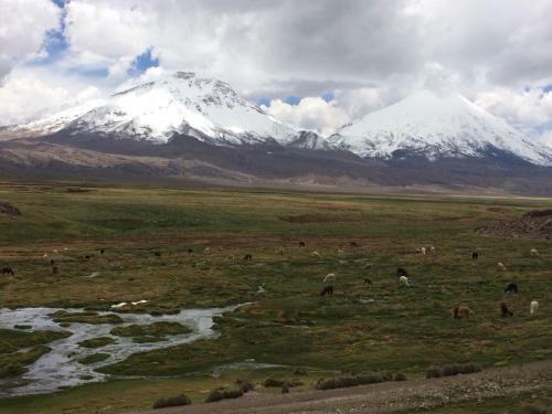 Hostal Vientos Del Altiplano