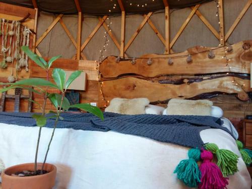 Lodge Yurts Del Taique
