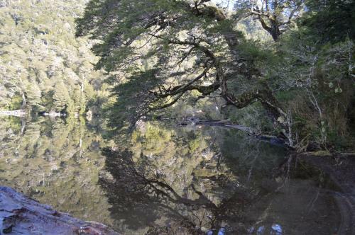 Lodge Ecoturismo Puyehue