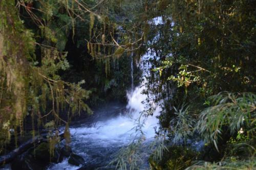 Lodge Ecoturismo Puyehue