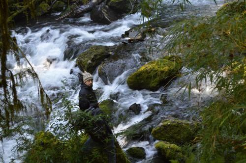 Lodge Ecoturismo Puyehue