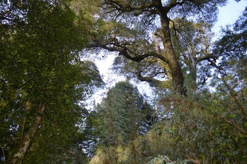 Lodge Ecoturismo Puyehue
