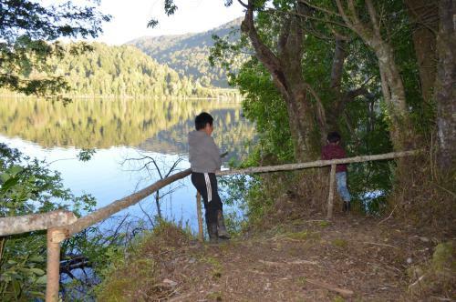 Lodge Ecoturismo Puyehue
