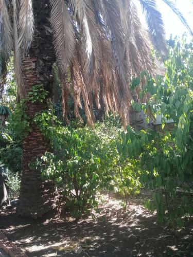 Hostal Do�a Irene