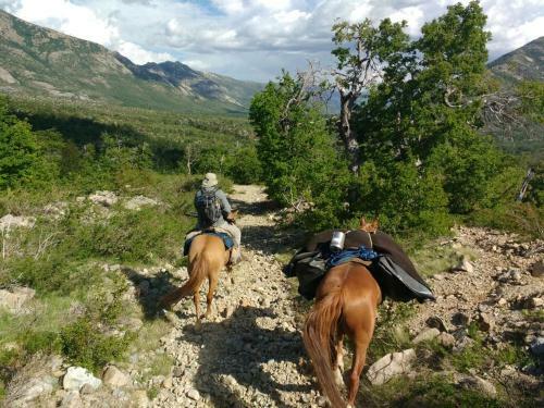 Caba�as Peumayen