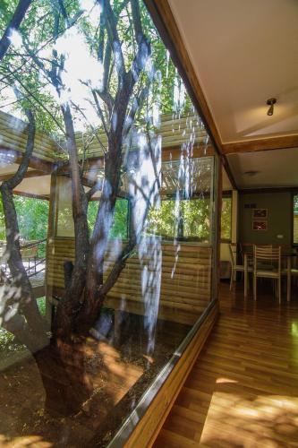 Lodge Caba�as Nogalia