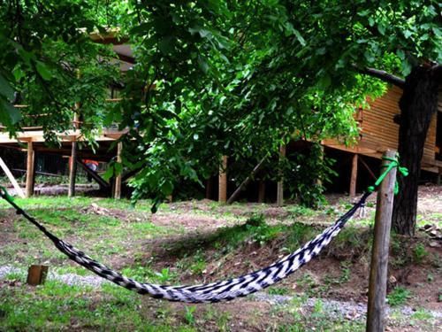 Lodge Caba�as Nogalia
