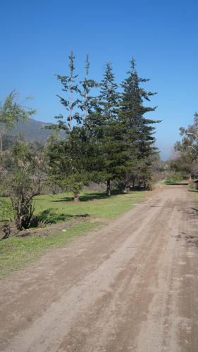 Bed & Breakfast Black Lagoon Hostel&spa