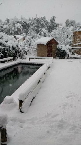 Bed & Breakfast Black Lagoon Hostel&spa