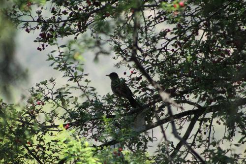 Casa Viento, Caj�n Del Maipo
