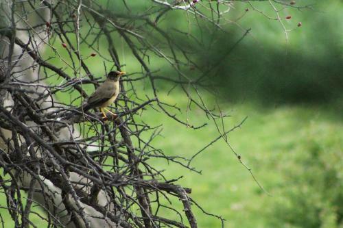 Casa Viento, Caj�n Del Maipo
