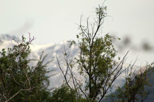 Casa Viento, Caj�n Del Maipo