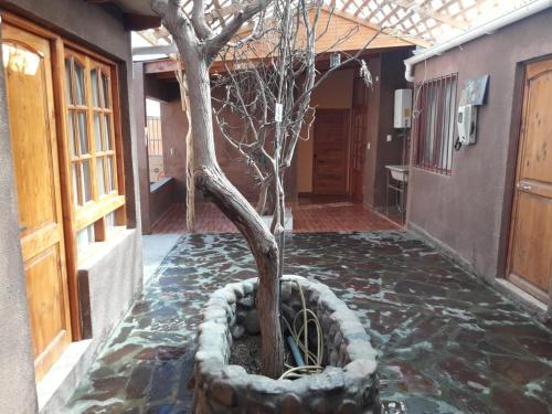 Bed & Breakfast Chentura