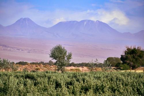 Lodge Caba�as Rural Pankara