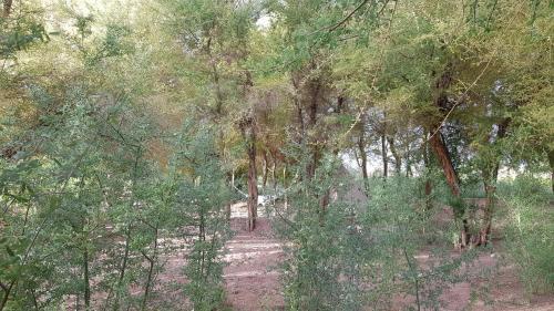 Andes Nomads Desert Camp & Lodge