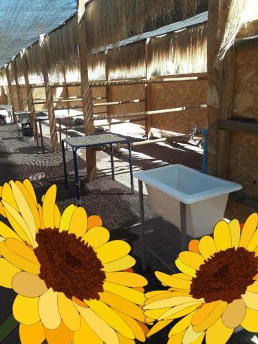 Camping Y Hostal La Flor De Vilca