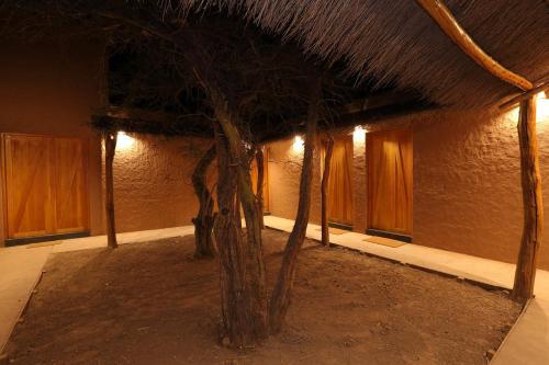 La Casa De Pascual Andino