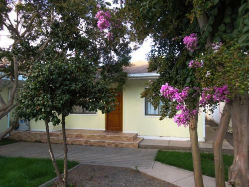 Casa Santa Cruz, Palmilla