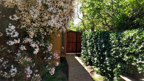 Hostal Aldea Colchagua Experience