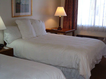 Hotel Best Western Nellis Motor Inn