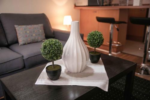 Bellas Artes Apartments