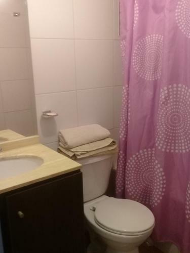 Apartamento Departamento Central Santiago