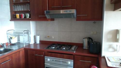Apartamento En Centro De Santiago