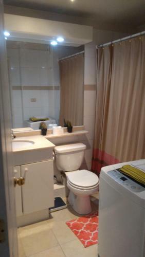 Apartamento En Centro De Santiago