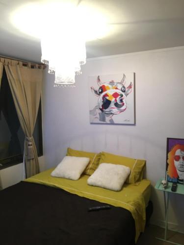 Room In Morand� Apartment