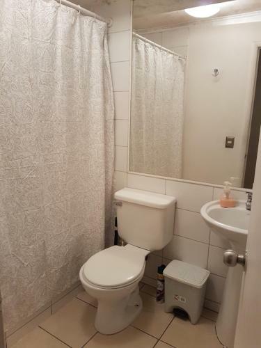 Apartamento Arriendos Cochrane Santiago