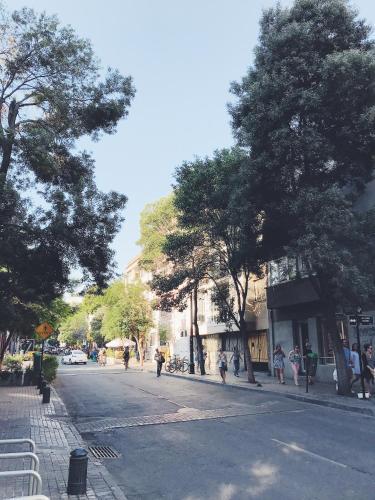 Cool Design Apartment In Barrio Lastarria