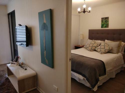 Central Apartment Santiago