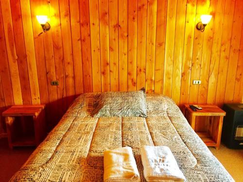 Apartamento Caba�as Travel Choshuenco