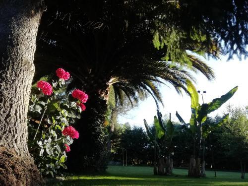 Agroturismo Parcela El Kaqui, Talca