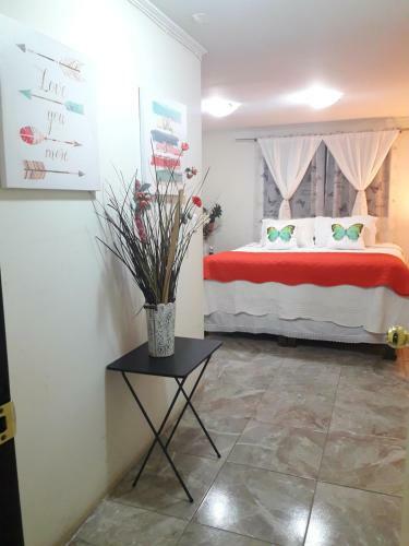 Bed & Breakfast Brisas De San Miguel