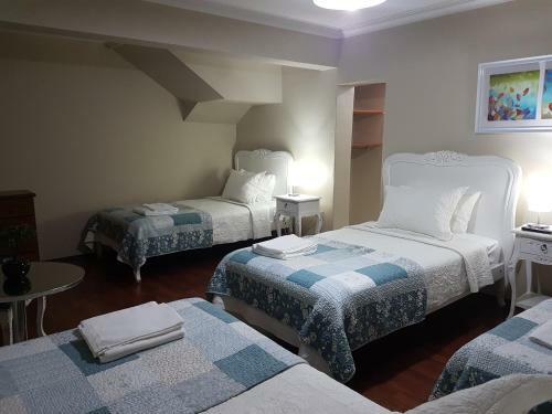 Hotel Hostal Pehuenche