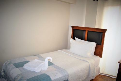 Hotel Hostal Pehuenche
