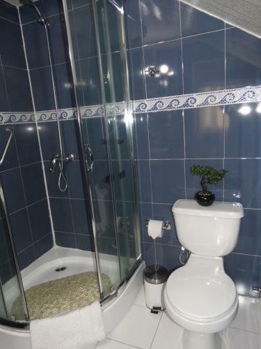 Hotel Hostal Pehuenche