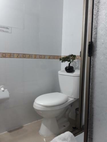 Hotel Hostal Pehuenche