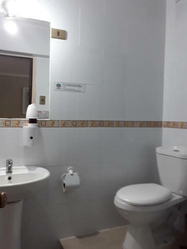 Hotel Hostal Pehuenche