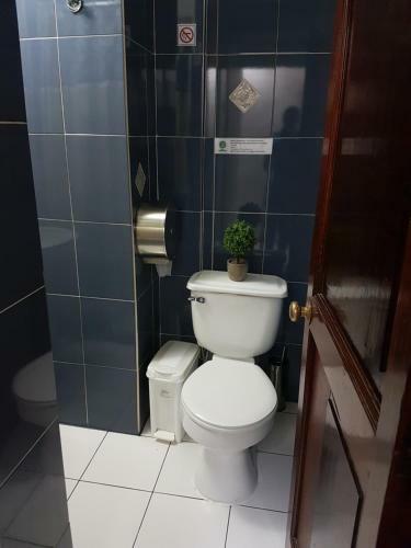 Hotel Hostal Pehuenche