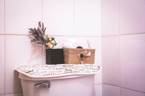 Apartamento Hostal Araucaria