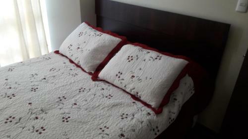 Apartamento Departamento Parque Cautin