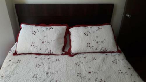 Apartamento Departamento Parque Cautin