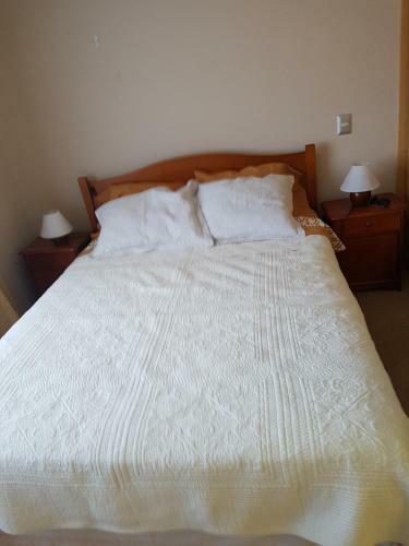 Apartamento Departamento Centrico